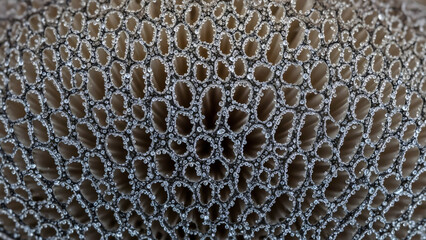 Obraz premium rusty metal texture background, Macro Shot of Dewy Mushroom Gills: Close-Up Nature Texture and Details