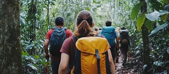 Backpackers Trekking Through Lush Green Rainforest, Adventure Awaits