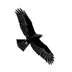 Obraz premium Surprizing Eagle silhouette in sky