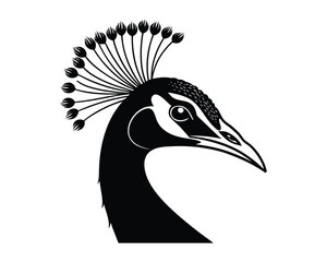 A striking black and white illustration of a peacock's head in profile, showcasing its distinctive crest and eye. The artwork is a simple yet detailed silhouette