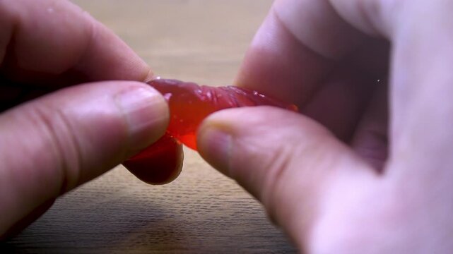 Macro of fingers pulling apart a red gummy candy. Stretching sticky jelly to demonstrate high elasticity of glucose syrup and gelatin. Artificial ingredients Gelatin and Glucose Syrup