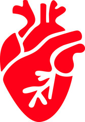 Obraz premium Anatomical heart icon , Human anatomical heart, heartbeat, cardiovascular, anatomy, medical, health, cardiology illustration, biology, organ, human heart collection, Vector illustration !