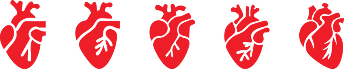 Set of anatomical heart icon Set, Human anatomical heart, heartbeat, cardiovascular, anatomy, medical, health, cardiology illustration, biology, organ, human heart collection, Vector illustration !