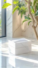 A white gift box sits on a marble floor, with a plant in the background. The scene is illuminated by sunlight, creating a bright and airy atmosphere.