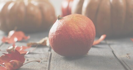 Sitting small round orange pumpkin resting on wooden planks, with short stem, blurred pumpkins