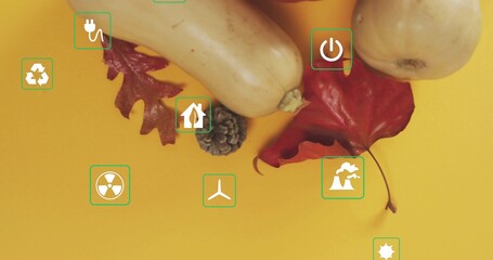 Displaying butternut squashes nesting maple leaf and pine cone on mustard sheet, with green icons