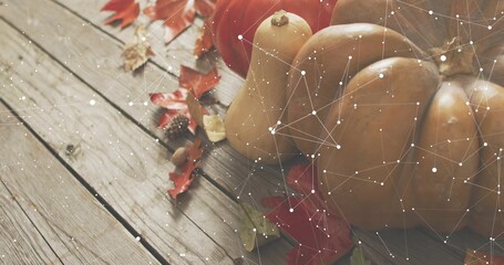 Naklejka premium Displaying pumpkins and squash on plank with maple leaves, acorns, white network overlay