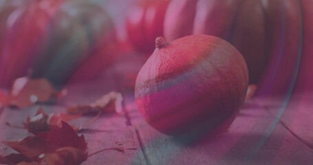 Resting small pumpkin with short stem on worn wood tabletop, dried leaves blurred gourds pink flare