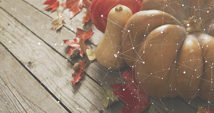 Displaying pumpkins and squash on plank with maple leaves, acorns, white network overlay