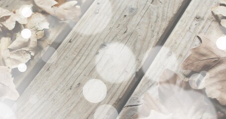 Showing weathered wooden planks running diagonally on porch surface, with dried leaves and bokeh © vectorfusionart