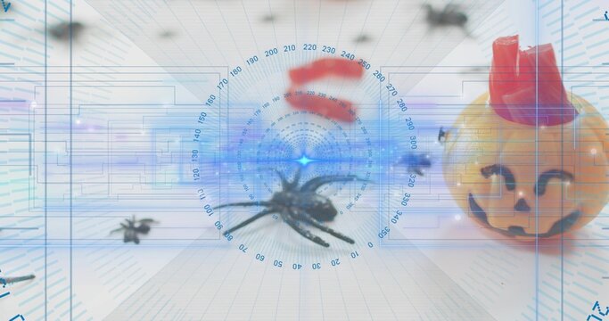 Targeting central black spider, projecting HUD rings on pale table with orange pumpkin and spiders