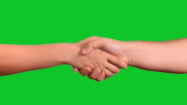 Vibrant emerald green screen backdrop animation for chroma key effects and seamless transitions in video editing projects and dynamic motion graphics
