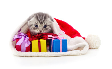 Cute ginger kitten with Christmas gifts in Santa hat isolated on white background.