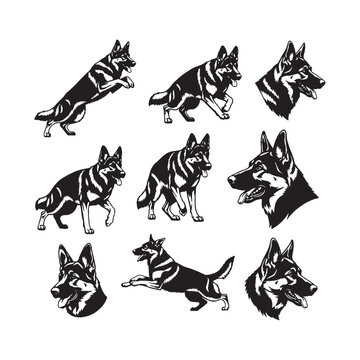 defense german shepherd dog silhouettes and head logos collection, german shepherd silhouette, guard dog vector, protection animal, canine emblem