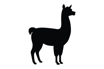 Alpaca silhouette vector, Llama silhouette