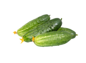 Cucumbers isolated. Fresh organic cucumber on white background.