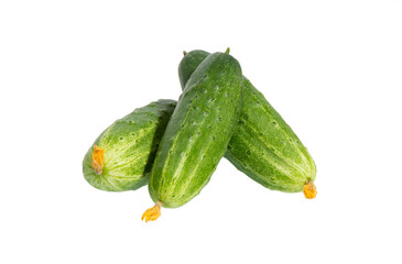 Cucumbers isolated. Fresh organic cucumber on white background.