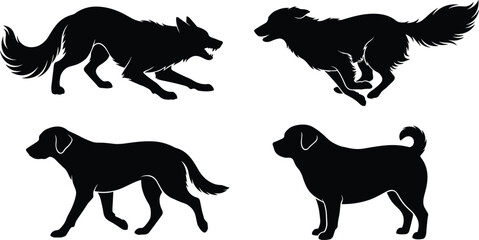 Happy Birthday greeting card design, black silhouette of a sitting dog, likely a Labrador, looking up at three balloons tied to its neck, isolated vector illustration