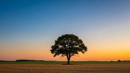 Solitary Tree Silhouette Against Vibrant Sunset Sky Peaceful Landscape.