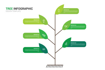 Green tree infographic template with leaf shaped progress steps and growth concept