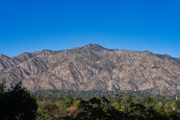 The San Gabriel Mountains seen from the Arcadia Arboretum.