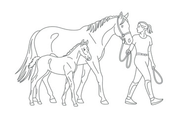 Obraz premium Line drawing of a woman leading a horse and foal with reins on a white background