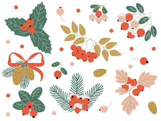 A set of Christmas plants for decorating festive elements with a Christmas tree and berries