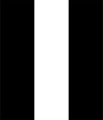 Two Black Line on white