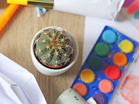 Biophilic Design meets Creative Workspace - Small Potted Cactus Surrounded by Watercolor Paint Palette and Art Supplies - creativity, art, organization, and a healthy work environment - Powered by Adobe