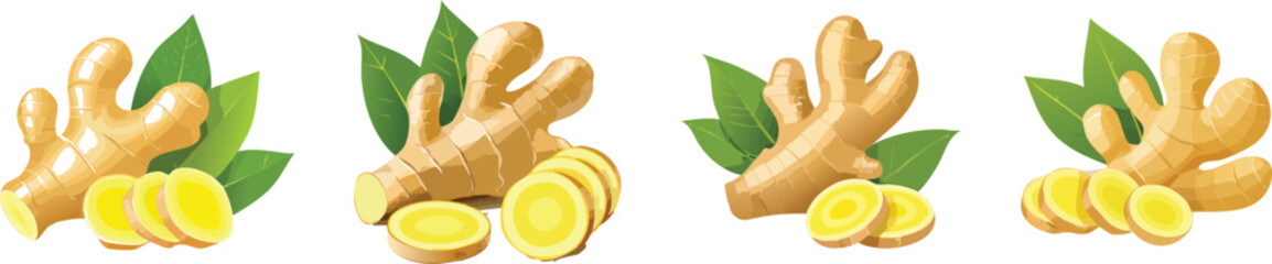 Fresh ginger root with sliced pieces and leaves depicted in natural organic food themed illustrative artwork