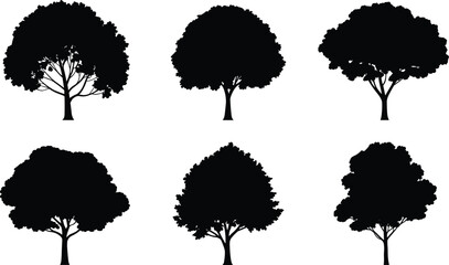 Tree silhouette collection with diverse canopy shapes and trunk styles for nature-themed design, landscape art, and educational use.