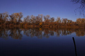Obraz premium autumn trees reflected in water