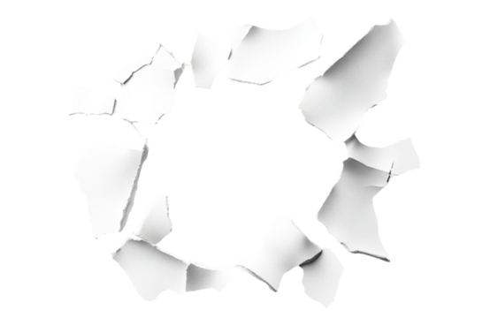 Torn white paper fragments arranged in a circular pattern against a transparent background