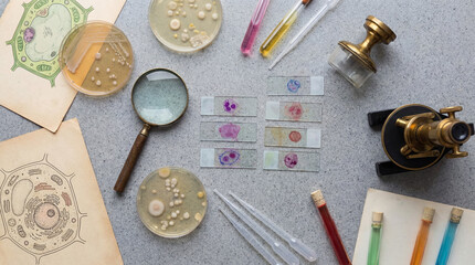 Fototapeta premium Exploring science through a flatlay of laboratory tools and specimens for World Science Day