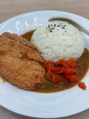 Japanese Curry Rice with Pork Cutlet