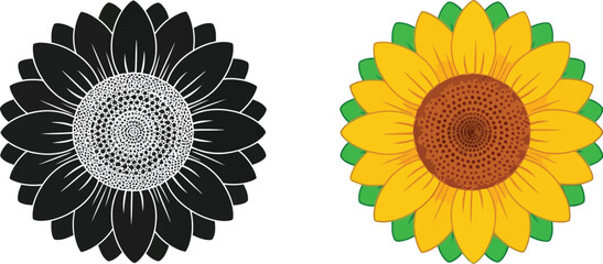 Two sunflowers presented in contrasting color schemes monochrome and vibrant