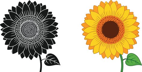 Two sunflowers depicted one in monochrome the other in vibrant color