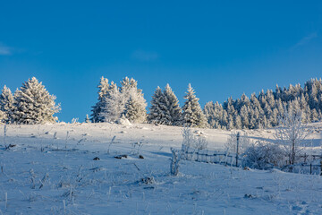 Première neige de la saison 2025-2026 au Semnoz, Haute-Savoie, France, Europe.
