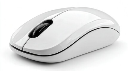 Computer mouse isolated on white background