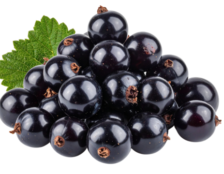 Pile of Blackcurrant Berries, Rich Purple Color, Isolated PNG