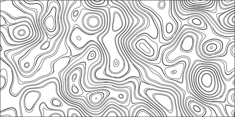 Obraz premium Black and White Abstract Topographic Contour Lines Forming Organic Shapes and Swirls on a White Background for Science and Nature Concepts Keywords: abstract, topographic, contour, lines, black