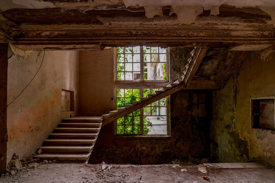Abandoned staircase in ruined building with overgrown window - Powered by Adobe