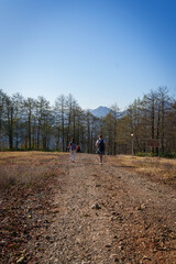 Obraz premium Hikers Walking Through Leafy Forest Trail