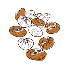 Hand drawn coffee beans