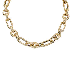 Chain-necklace-circle chain-rope chain-gold chain-gold coil chain-hanging-men's chain-modern-stylish-fashionable-white background