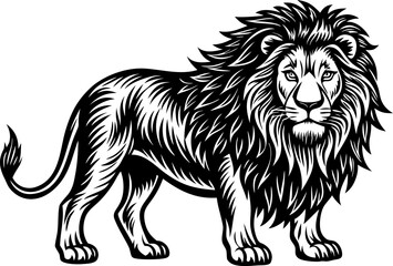 Lion king vector, lion vector illustration, African lion silhouette walking side profile
