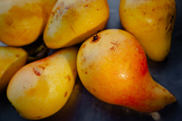 Ripe yellow pears close-up – fresh organic fruit texture