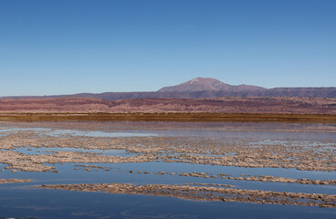 Tebinquiche Lagoon in the Atacama Desert, Chile