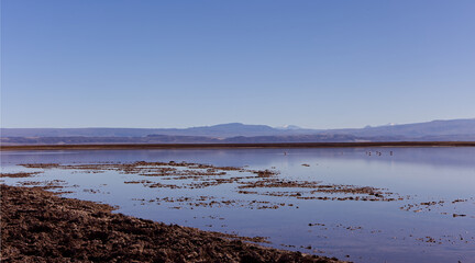 Tebinquiche Lagoon in the Atacama Desert, Chile