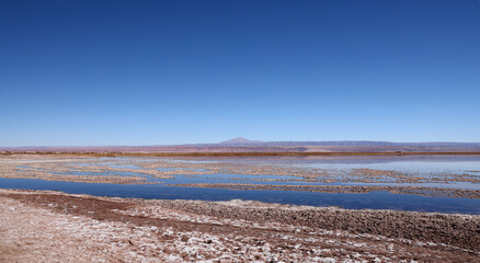 Tebinquiche Lagoon in the Atacama Desert, Chile